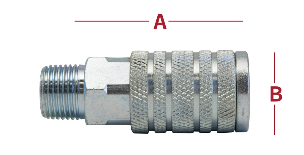36C4-4M