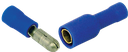 42024