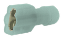 42126