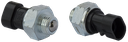 40058