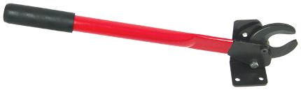 51025