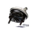 Brake Chamber (Disc)