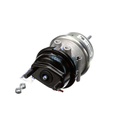 Spring Brake (Disc)