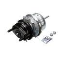 Spring Brake (Disc)