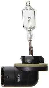 Forward Lighting - Halogen