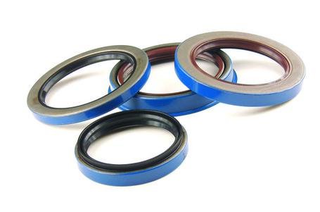 Unitized Pinion Seal