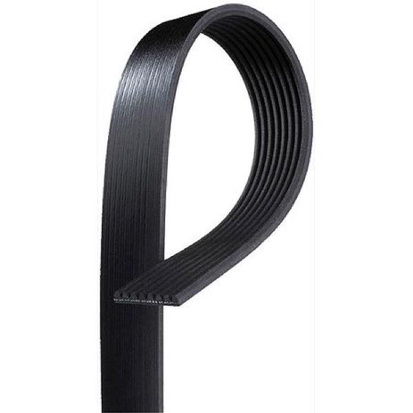 Serpentine Belt