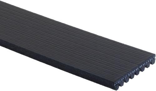 Serpentine Belt