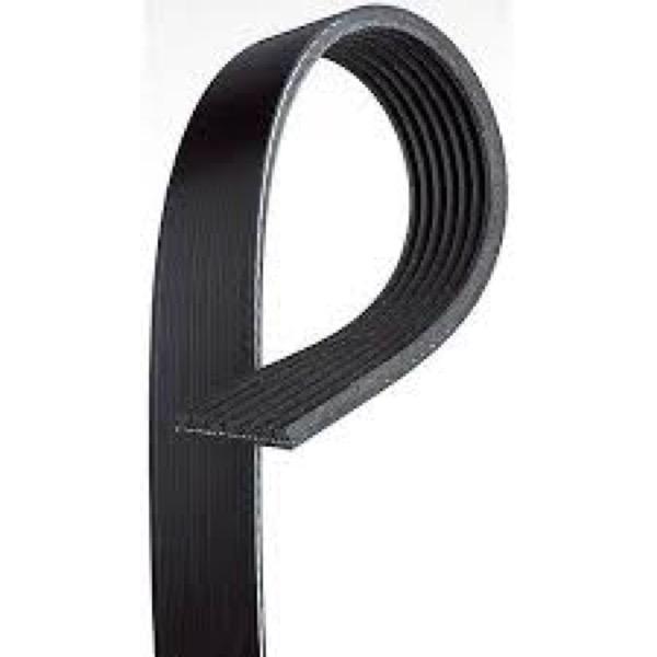Serpentine Belt