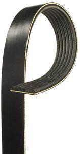 Serpentine Belt