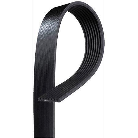 Serpentine Belt