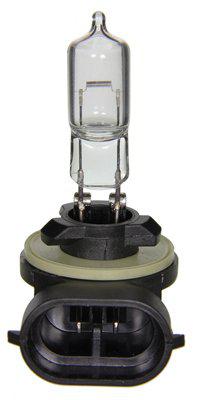 [BP896] Wagner Bulb