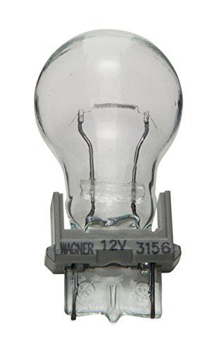 [3156] Wagner Bulb